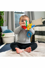 
                        
                          Load image into Gallery viewer, Baby Einstein Sea of Sensory Teether Toy 1
                        
                      