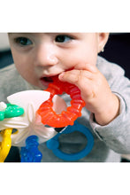 
                        
                          Load image into Gallery viewer, Baby Einstein Sea of Sensory Teether Toy 7
                        
                      