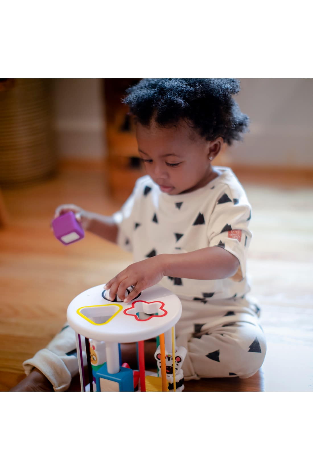 Baby Einstein Zen & Cals Playground Sensory Shape Sorter Online