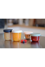 
                        
                          Load image into Gallery viewer, Beaba Glass Baby Food Storage Containers Set Of 4 - Pink 5
                        
                      