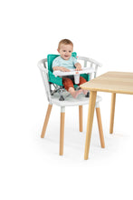 
                        
                          將圖片載入圖庫檢視器 FREE GIFT - Bright Starts Pop N Sit Portable Booster Seat
                        
                      