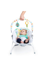 
                        
                          Load image into Gallery viewer, FREE GIFT - Bright Starts Safari Fun Vibrating Bouncer With Toy Bar
                        
                      