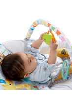 
                        
                          Load image into Gallery viewer, FREE GIFT - Bright Starts Safari Fun Vibrating Bouncer With Toy Bar
                        
                      
