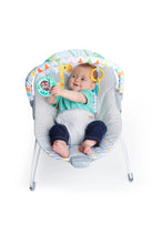 
                        
                          Load image into Gallery viewer, FREE GIFT - Bright Starts Safari Fun Vibrating Bouncer With Toy Bar
                        
                      