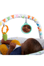 
                        
                          Load image into Gallery viewer, FREE GIFT - Bright Starts Safari Fun Vibrating Bouncer With Toy Bar
                        
                      