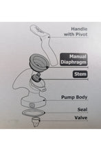
                        
                          將圖片載入圖庫檢視器 Hegen Diaphragm and Stem (For Manual)
                        
                      