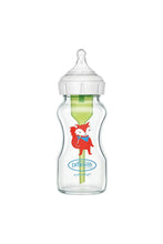 
                        
                          Load image into Gallery viewer, Dr Brown&#39;s Options+ Anti-Colic Bottle - Fox Deco - Glass 9oz 1
                        
                      