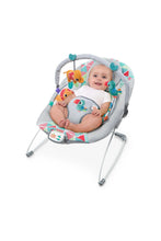 
                        
                          將圖片載入圖庫檢視器 FREE GIFT - Bright Starts Cradling Bouncer Toucan Tango
                        
                      