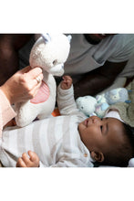 
                        
                          Load image into Gallery viewer, FREE GIFT - Ingenuity Premium Soft Plush Soothing Bean Bag Lovey - Nate the Teddy Bear
                        
                      