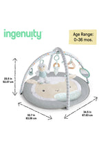 
                        
                          將圖片載入圖庫檢視器 FREE GIFT - Ingenuity Sheppys Spot Ultra Plush Baby Activity Gym &amp; Tummy Time Mat, Corrie
                        
                      