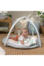 
                        
                          將圖片載入圖庫檢視器 FREE GIFT - Ingenuity Sheppys Spot Ultra Plush Baby Activity Gym &amp; Tummy Time Mat, Corrie
                        
                      