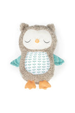 
                        
                          將圖片載入圖庫檢視器 Ingenuity Snuggle Sounds Soothing Plush Toy Nally the Owl
                        
                      