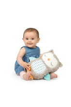
                        
                          Load image into Gallery viewer, Ingenuity Snuggle Sounds Soothing Plush Toy Nally the Owl
                        
                      