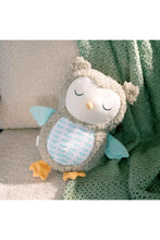 
                        
                          Load image into Gallery viewer, Ingenuity Snuggle Sounds Soothing Plush Toy Nally the Owl
                        
                      
