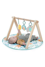 
                        
                          將圖片載入圖庫檢視器 FREE GIFT - Ingenuity Sun Valley Wooden Toy Arch &amp; Play Mat
                        
                      