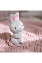 
                        
                          Load image into Gallery viewer, Ingenuity Sylvi Natural Rubber Teether Toy 6
                        
                      