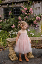 
                        
                          Load image into Gallery viewer, Jamie Kay Nylah Dress - Petite Heart Rosie
                        
                      
