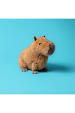 
                        
                          Load image into Gallery viewer, Jellycat Clyde Capybara
                        
                      