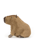
                        
                          Load image into Gallery viewer, Jellycat Clyde Capybara
                        
                      