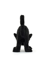 
                        
                          將圖片載入圖庫檢視器 Jellycat Spookipaws Cat
                        
                      