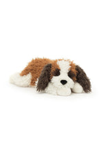 
                        
                          Load image into Gallery viewer, Jellycat Floofie St Bernard 1
                        
                      