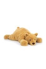 
                        
                          Load image into Gallery viewer, llycat Harvey Bear 1
                        
                      