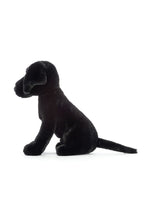 
                        
                          Load image into Gallery viewer, Jellycat Pippa Black Labrador 2
                        
                      