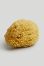 
                        
                          將圖片載入圖庫檢視器 Mothercare Natural Sponge
                        
                      