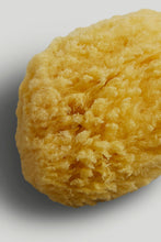 
                        
                          將圖片載入圖庫檢視器 Mothercare Natural Sponge
                        
                      