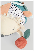 
                        
                          Load image into Gallery viewer, Mothercare Garden Brights Hedgehog Activity Toy
                        
                      
