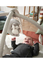 
                        
                          Load image into Gallery viewer, Mamas &amp; Papas Playmat &amp; Gym - Wish Upon A Cloud
                        
                      