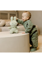 
                        
                          Load image into Gallery viewer, Miffy Flower Cuddle 30cm Green
                        
                      