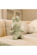 
                        
                          Load image into Gallery viewer, Miffy Flower Cuddle 30cm Green
                        
                      