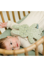 
                        
                          將圖片載入圖庫檢視器 Miffy Flower Dummy Clothin Green
                        
                      