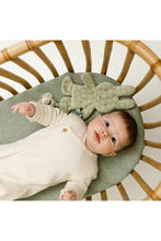 
                        
                          將圖片載入圖庫檢視器 Miffy Flower Dummy Clothin Green
                        
                      