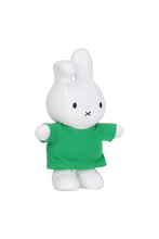 
                        
                          Load image into Gallery viewer, Miffy &amp; Friend Soft Plush - Dan 23 cm
                        
                      
