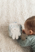 
                        
                          Load image into Gallery viewer, Miffy Little Dutch Activity Cube - Lucky Leaves
                        
                      