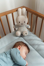 
                        
                          Load image into Gallery viewer, Miffy Little Dutch Cuddle Toy 30cm - Lucky Leaves
                        
                      