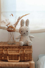 
                        
                          Load image into Gallery viewer, Miffy Little Dutch Cuddle Toy All Over Print 20cm - Lucky Leaves
                        
                      