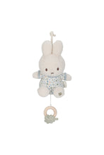 
                        
                          Load image into Gallery viewer, Miffy Little Dutch Music Box - Lucky Leaves
                        
                      