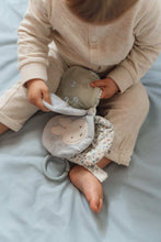 
                        
                          Load image into Gallery viewer, Miffy Little Dutch Stroller booklet - Lucky Leaves
                        
                      