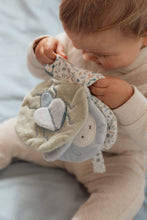 
                        
                          Load image into Gallery viewer, Miffy Little Dutch Stroller booklet - Lucky Leaves
                        
                      