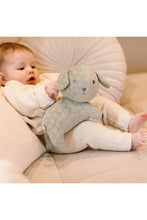 
                        
                          Load image into Gallery viewer, Snuffie Flower Cuddle 25cm Green
                        
                      