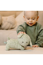 
                        
                          Load image into Gallery viewer, Snuffie Flower Cuddle 25cm Green
                        
                      