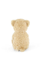 
                        
                          將圖片載入圖庫檢視器 Snuggle Bunnies Arthur the Bear
                        
                      