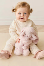 
                        
                          將圖片載入圖庫檢視器 Snuggle Bunnies Frankie the Hugging Bunny - Blossom 30cm
                        
                      