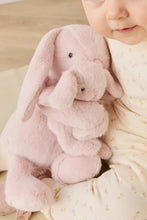 
                        
                          將圖片載入圖庫檢視器 Snuggle Bunnies Frankie the Hugging Bunny - Blossom 30cm
                        
                      