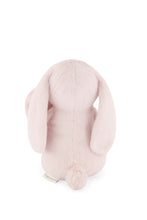 
                        
                          將圖片載入圖庫檢視器 Snuggle Bunnies Frankie the Hugging Bunny - Blossom 30cm
                        
                      