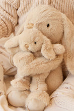 
                        
                          將圖片載入圖庫檢視器 Snuggle Bunnies Frankie the Hugging Bunny - Caramel 30cm
                        
                      