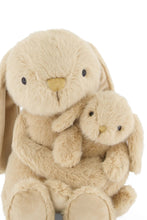 
                        
                          將圖片載入圖庫檢視器 Snuggle Bunnies Frankie the Hugging Bunny - Caramel 30cm
                        
                      